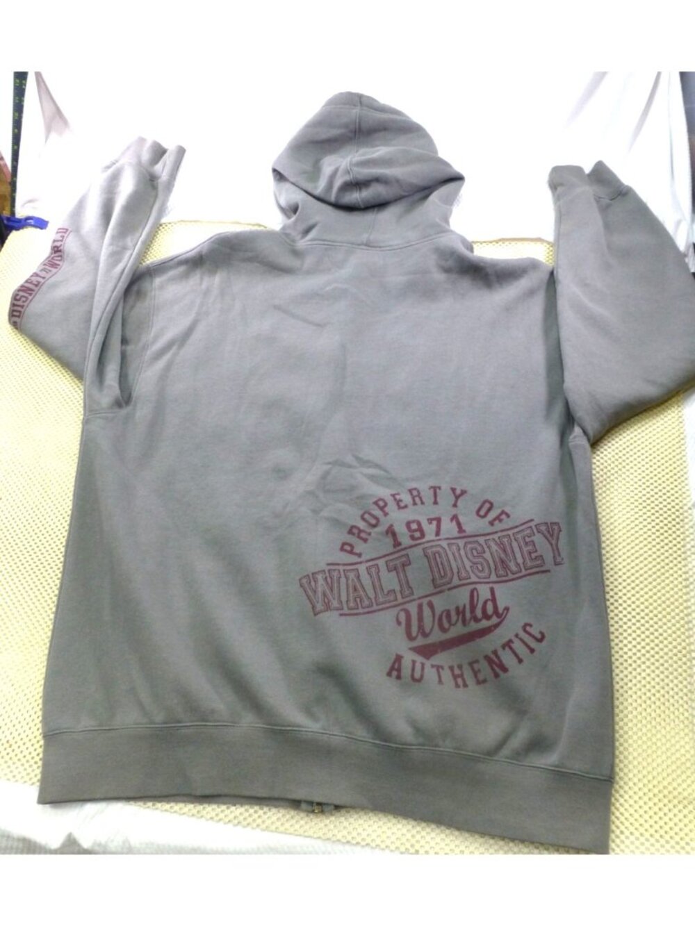 Disney Parks Gray Full Zip-Up Hoodie 1971 Walt Disney World Large Authentic - Picture 2 of 16